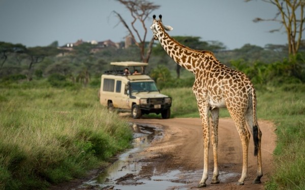 Отдых рядом с жирафами и под шум Индийского океана: Занзибар от Ambotis Holidays Отдых рядом с жирафами и под шум Индийского океана: Занзибар от Ambotis Holidays