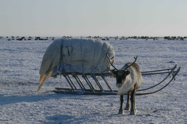 Как выглядят самые крайние точки России Как выглядят самые крайние точки России