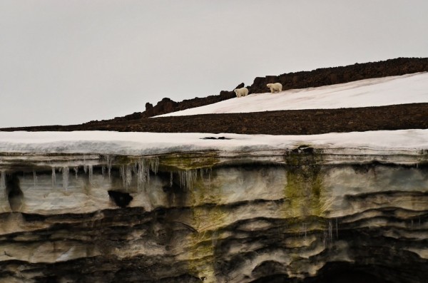 Как выглядят самые крайние точки России Как выглядят самые крайние точки России