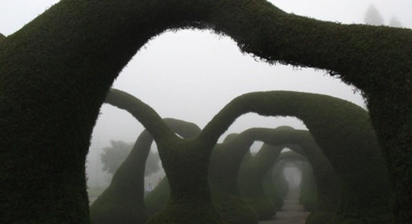 10 самых необычных парков мира 10 самых необычных парков мира