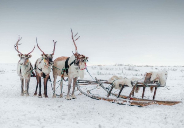 Туры по России: от Уикенда до Транссиба Туры по России: от Уикенда до Транссиба