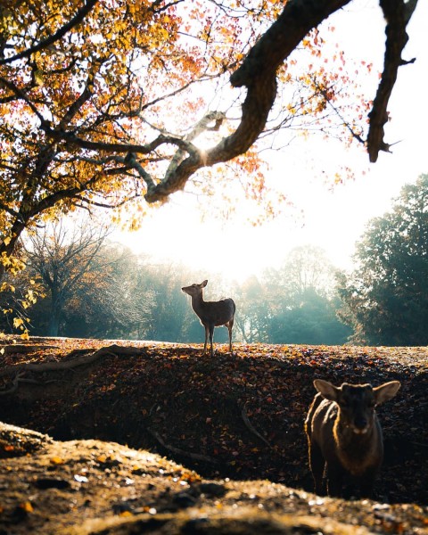 Путешествия и приключения на снимках Кинана Лама Путешествия и приключения на снимках Кинана Лама