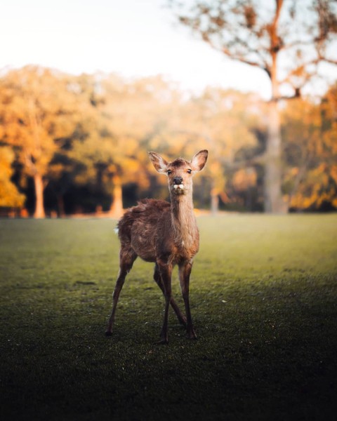 Путешествия и приключения на снимках Кинана Лама Путешествия и приключения на снимках Кинана Лама