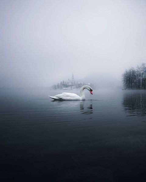 Путешествия и приключения на снимках Кинана Лама Путешествия и приключения на снимках Кинана Лама