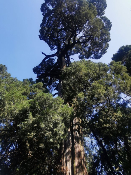 Россияне массово устремились в Китай на Новый год. Там их ждет «пивозаправка», улица роботов и родина Конфуция Россияне массово устремились в Китай на Новый год. Там их ждет «пивозаправка», улица роботов и родина Конфуция