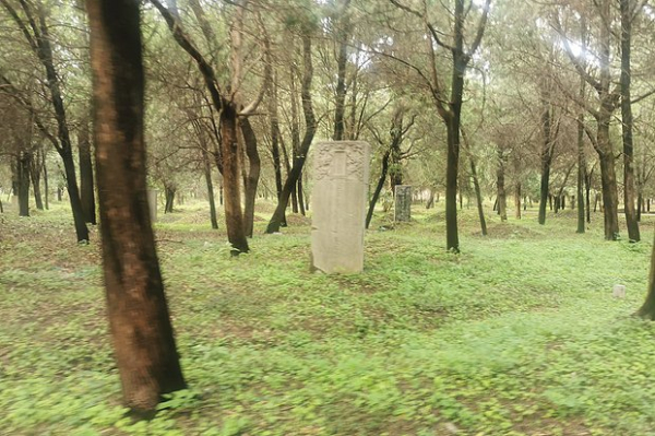 Россияне массово устремились в Китай на Новый год. Там их ждет «пивозаправка», улица роботов и родина Конфуция Россияне массово устремились в Китай на Новый год. Там их ждет «пивозаправка», улица роботов и родина Конфуция