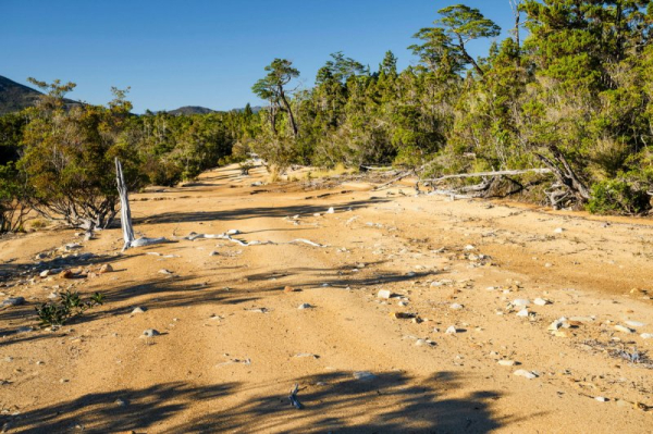 Огромный нетронутый остров на краю света продается за 35 миллионов долларов Огромный нетронутый остров на краю света продается за 35 миллионов долларов