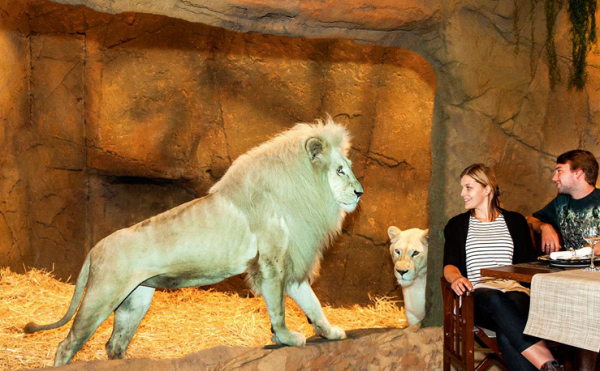 В Австралии открылся уникальный отель-зоопарк В Австралии открылся уникальный отель-зоопарк