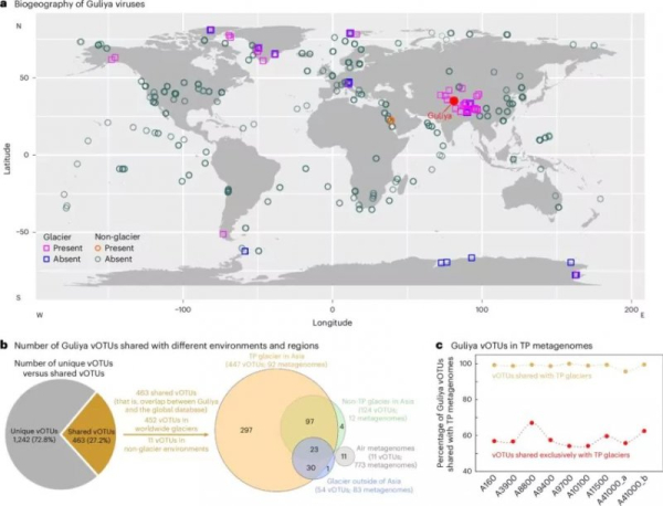 Более 1700 древних вирусных геномов обнаружено в леднике Более 1700 древних вирусных геномов обнаружено в леднике