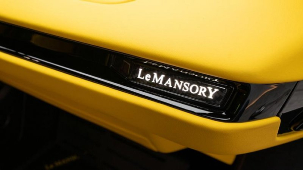 Ателье Mansory и марка спортивной одежды создали экстремальный Ford GT Ателье Mansory и марка спортивной одежды создали экстремальный Ford GT