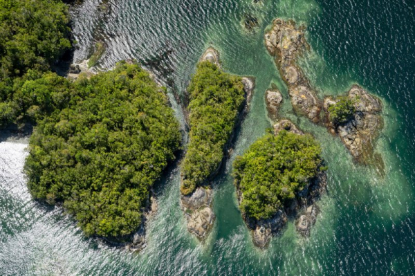 Огромный нетронутый остров на краю света продается за 35 миллионов долларов Огромный нетронутый остров на краю света продается за 35 миллионов долларов