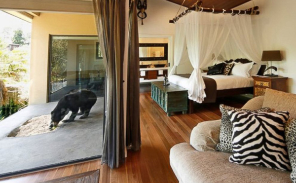 В Австралии открылся уникальный отель-зоопарк В Австралии открылся уникальный отель-зоопарк