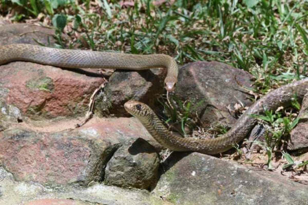 25 самых запретных мест на Земле 25 самых запретных мест на Земле