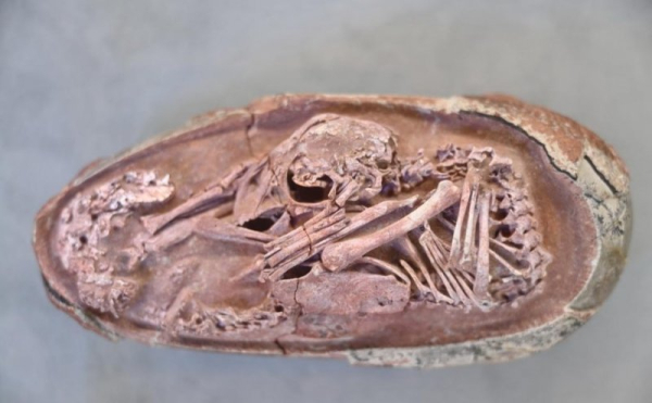 Удивительные археологические находки из мира прошлого Удивительные археологические находки из мира прошлого