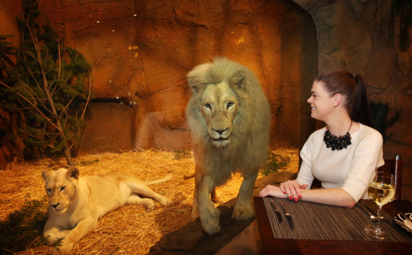 В Австралии открылся уникальный отель-зоопарк В Австралии открылся уникальный отель-зоопарк