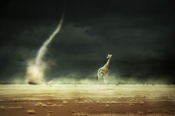 Лучшие российские фотографы 2011 года (14 фото) Лучшие российские фотографы 2011 года (14 фото)