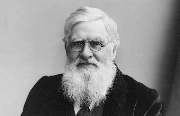 8 выдающихся учёных, которых незаслуженно забыли 8 выдающихся учёных, которых незаслуженно забыли