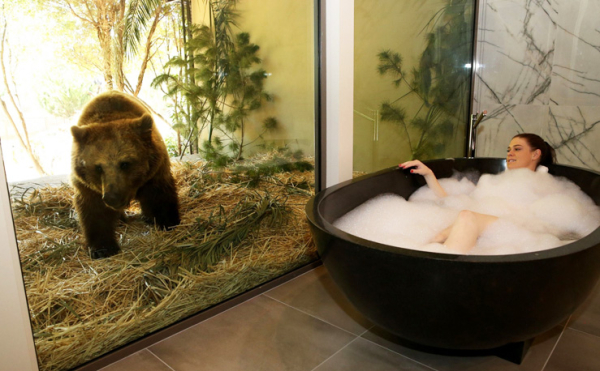 В Австралии открылся уникальный отель-зоопарк В Австралии открылся уникальный отель-зоопарк