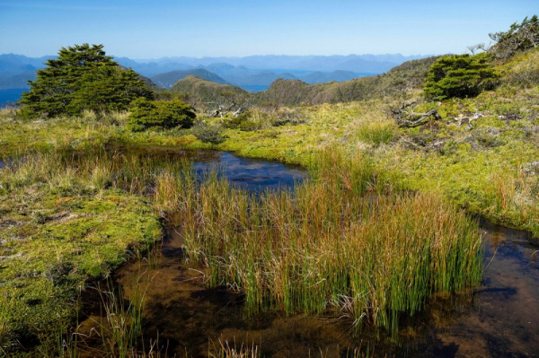 Огромный нетронутый остров на краю света продается за 35 миллионов долларов Огромный нетронутый остров на краю света продается за 35 миллионов долларов