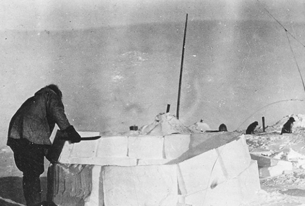 Ада Блэкджек и ее удивительная история одиночного выживания в Арктике Ада Блэкджек и ее удивительная история одиночного выживания в Арктике