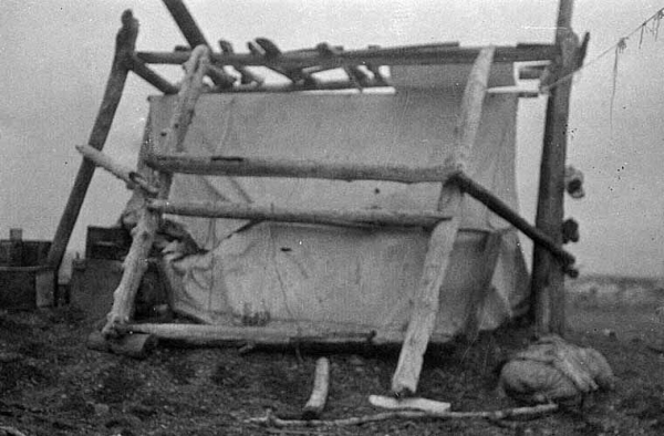 Ада Блэкджек и ее удивительная история одиночного выживания в Арктике Ада Блэкджек и ее удивительная история одиночного выживания в Арктике