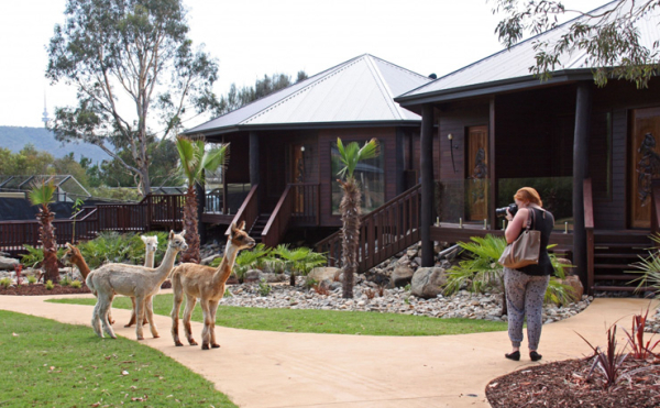 В Австралии открылся уникальный отель-зоопарк В Австралии открылся уникальный отель-зоопарк