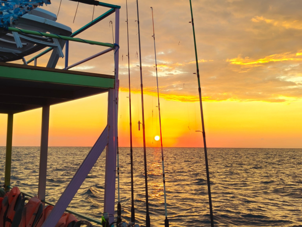 Морская рыбалка в Сочи — отзыв удачливого рыбака Морская рыбалка в Сочи — отзыв удачливого рыбака