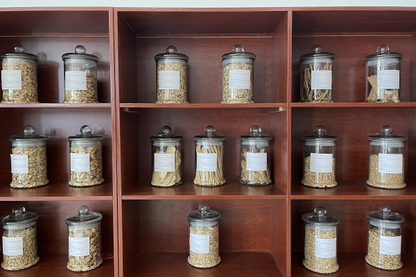 Летящая лошадь, храм-муравейник и лапша. Россияне массово едут в самый закрытый район Китая. Почему там нужно непременно побывать? Летящая лошадь, храм-муравейник и лапша. Россияне массово едут в самый закрытый район Китая. Почему там нужно непременно побывать?