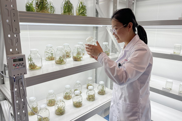 Летящая лошадь, храм-муравейник и лапша. Россияне массово едут в самый закрытый район Китая. Почему там нужно непременно побывать? Летящая лошадь, храм-муравейник и лапша. Россияне массово едут в самый закрытый район Китая. Почему там нужно непременно побывать?