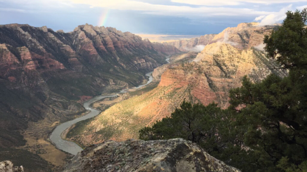 Сокровище Фореста Фенна: загадочный современный клад, стоивший многих жизней Сокровище Фореста Фенна: загадочный современный клад, стоивший многих жизней