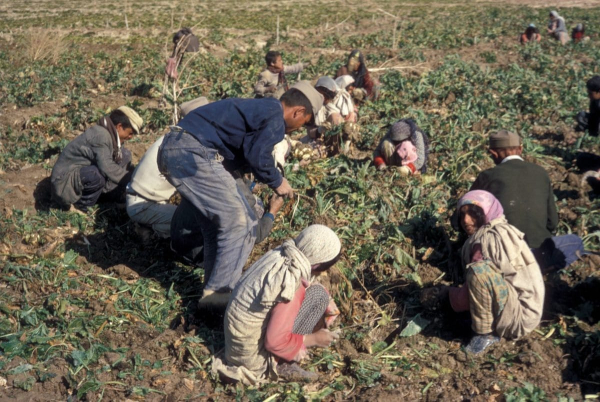 Тонкий Восток и модный Запад: фототур американца по Ирану в 1967 году Тонкий Восток и модный Запад: фототур американца по Ирану в 1967 году