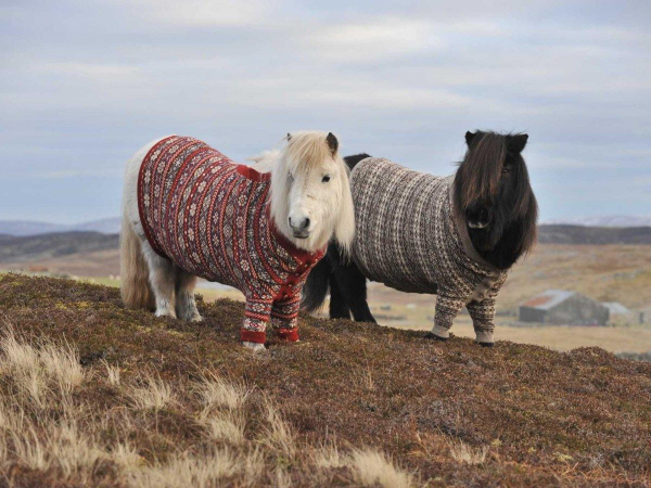 Восхитительная Шотландия Восхитительная Шотландия